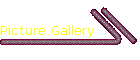 Picture Gallery