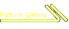 Picture Gallery